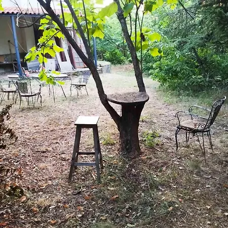 Pansion Lazaros